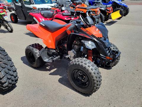 2021 Can-Am DS 250 in Wilkes Barre, Pennsylvania - Photo 1