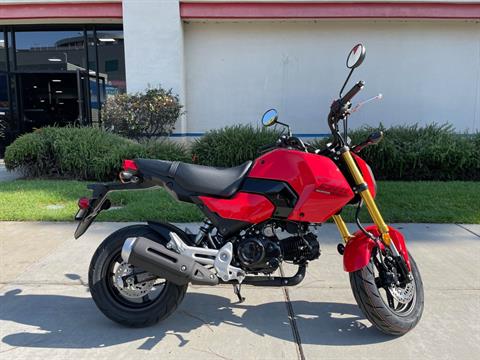 2025 Honda Grom in EL Cajon, California - Photo 1