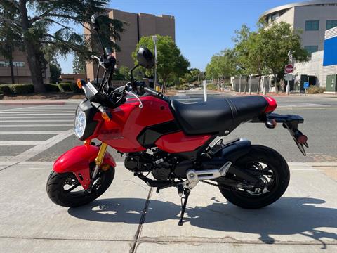 2025 Honda Grom in EL Cajon, California - Photo 5