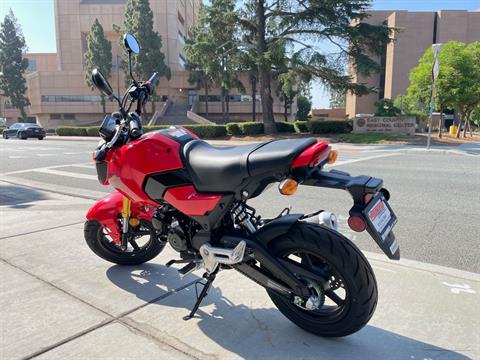 2025 Honda Grom in EL Cajon, California - Photo 6