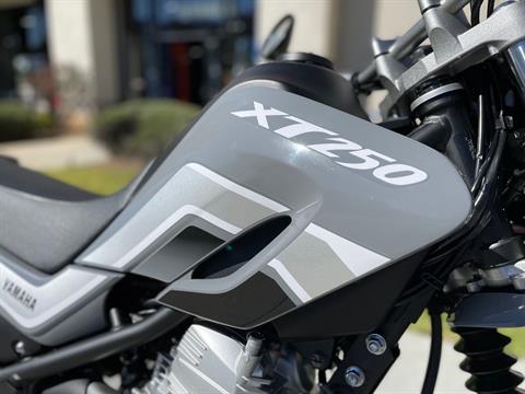2024 Yamaha XT250 in EL Cajon, California - Photo 8