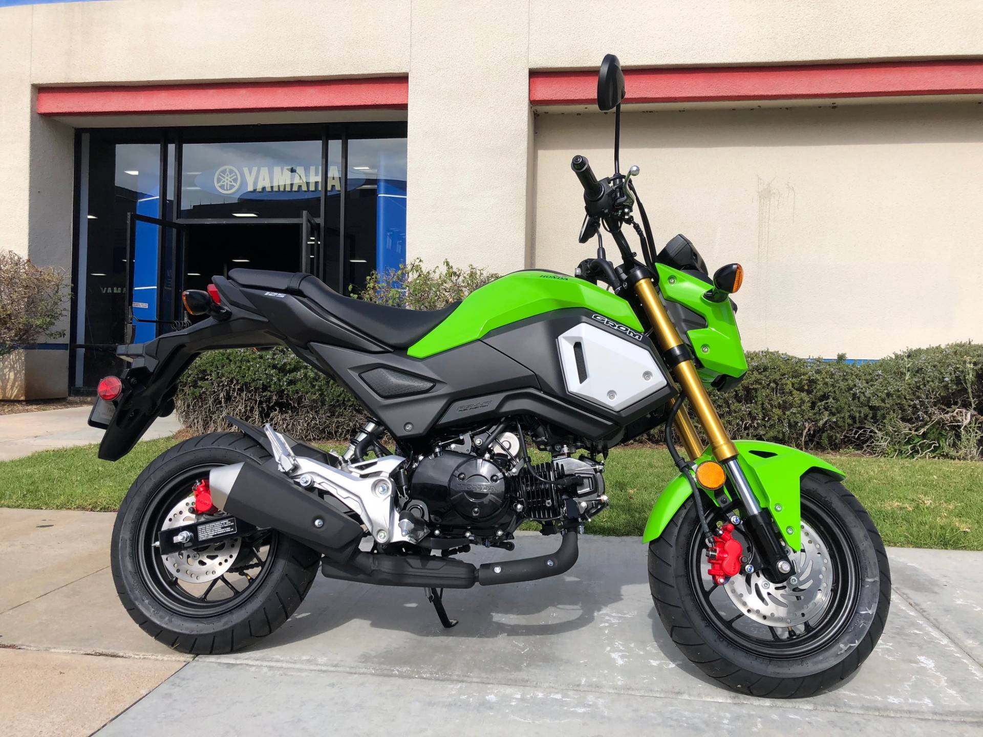 Honda Grom | Bruin Blog