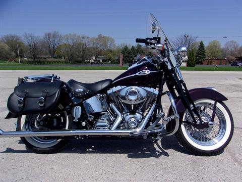 2005 Harley-Davidson FLSTSC/FLSTSCI Softail® Springer® Classic in Mukwonago, Wisconsin - Photo 1