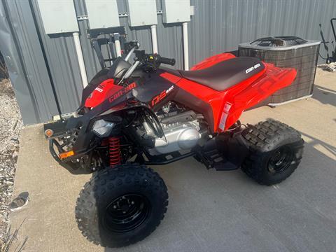 2024 Can-Am DS 250 in Clinton, Missouri - Photo 1