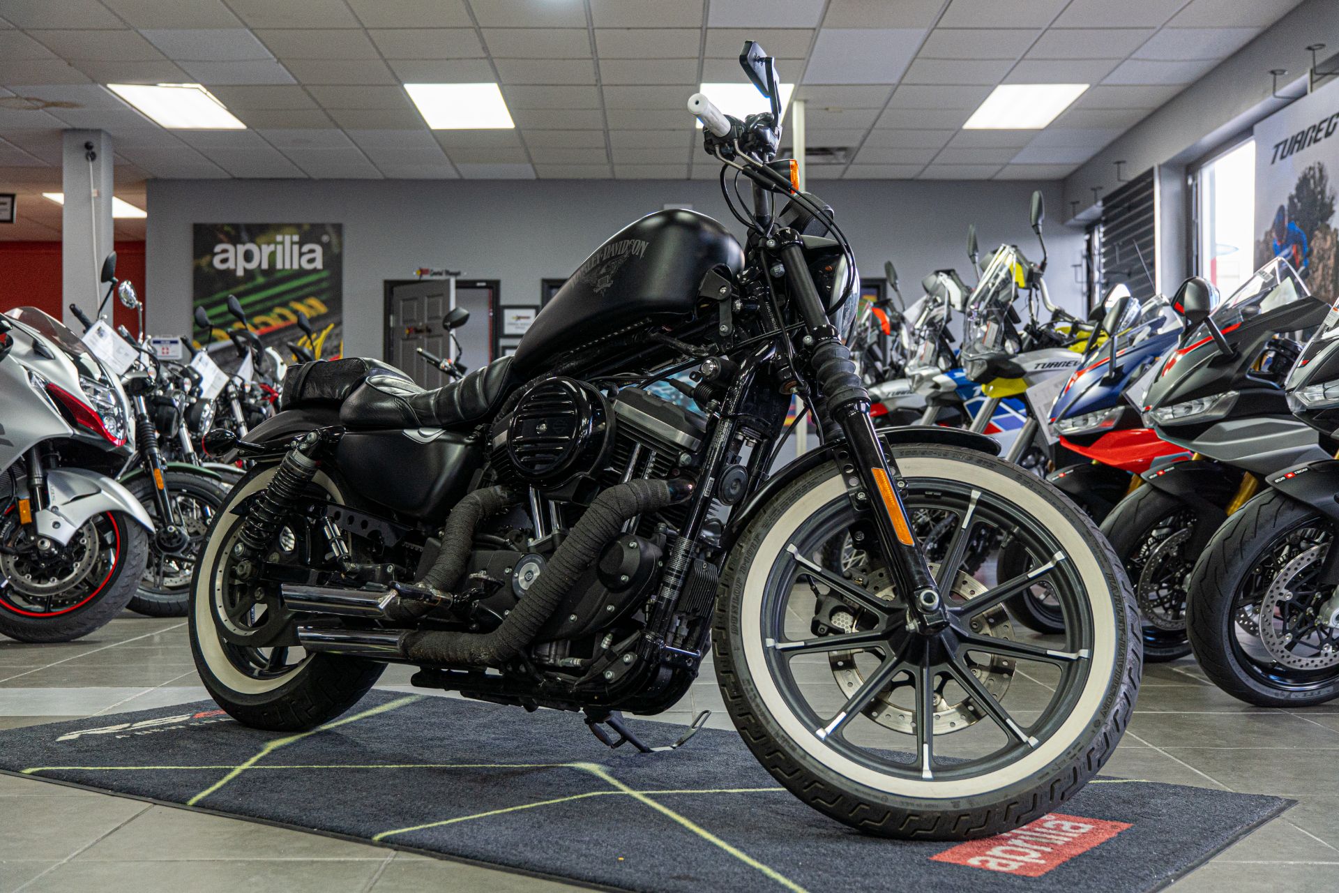 2017 Harley-Davidson Iron 883™ in Houston, Texas - Photo 1