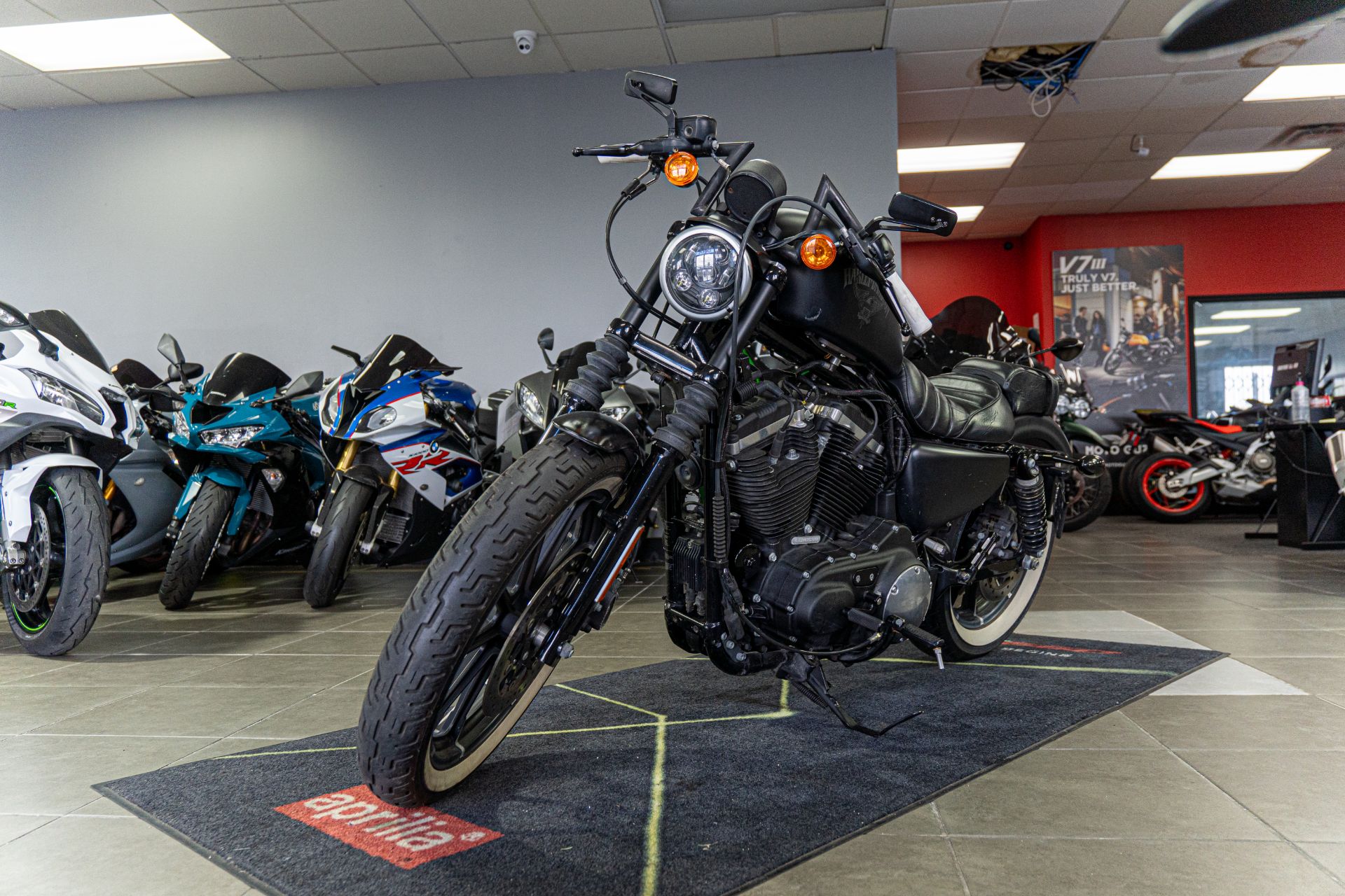 2017 Harley-Davidson Iron 883™ in Houston, Texas - Photo 6