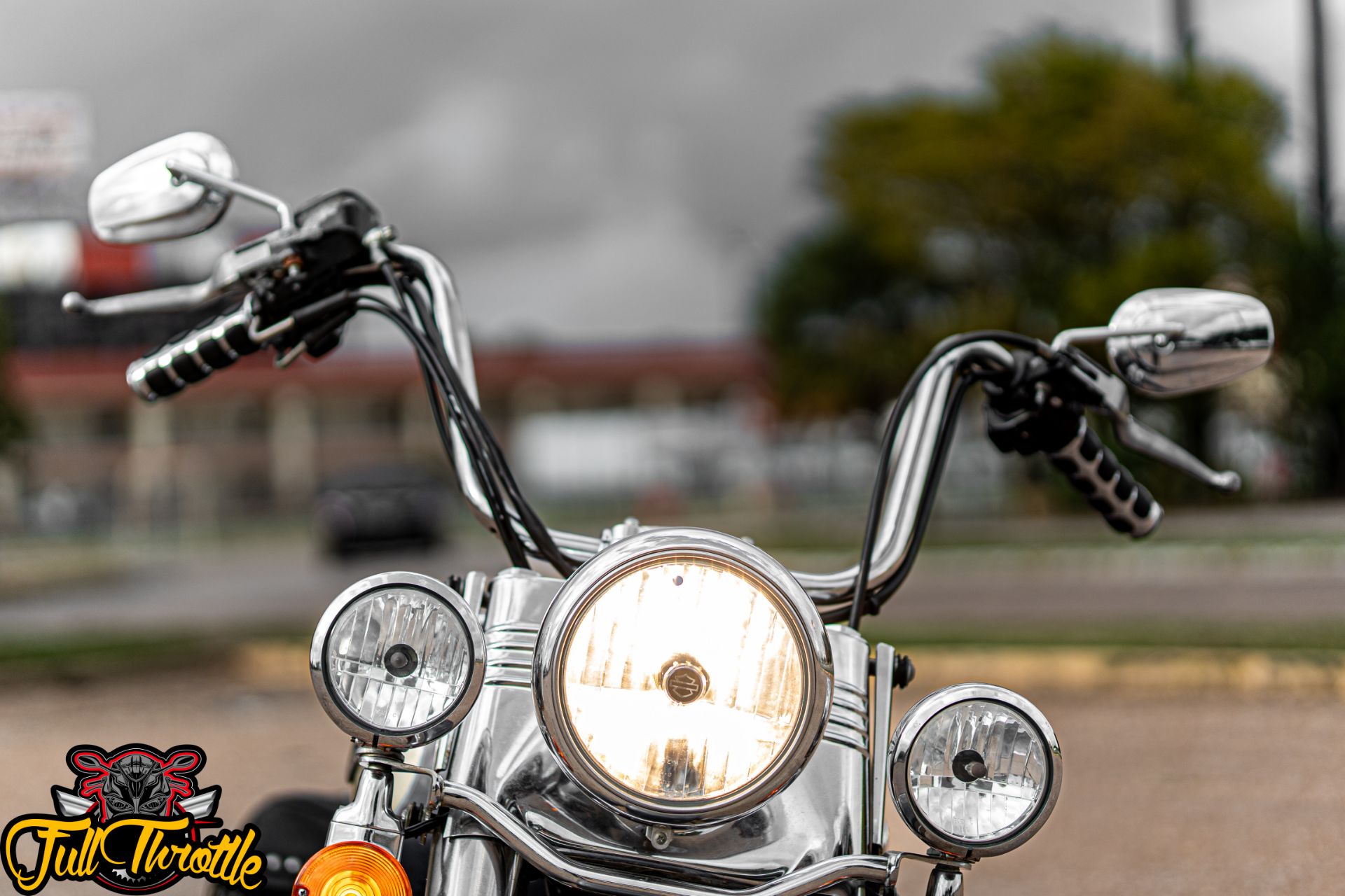 2009 Harley-Davidson Heritage Softail® Classic in Houston, Texas - Photo 8