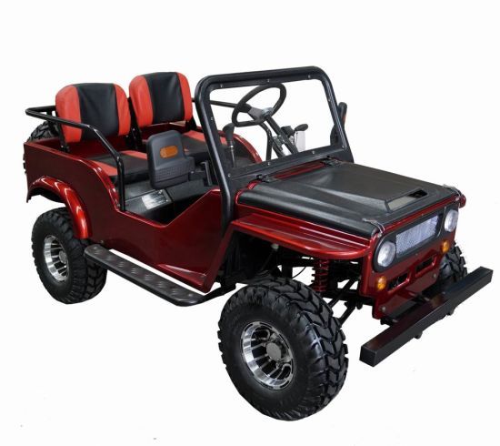 2022 Ricky Power Sports Jeep Go Kart in Savannah, Georgia
