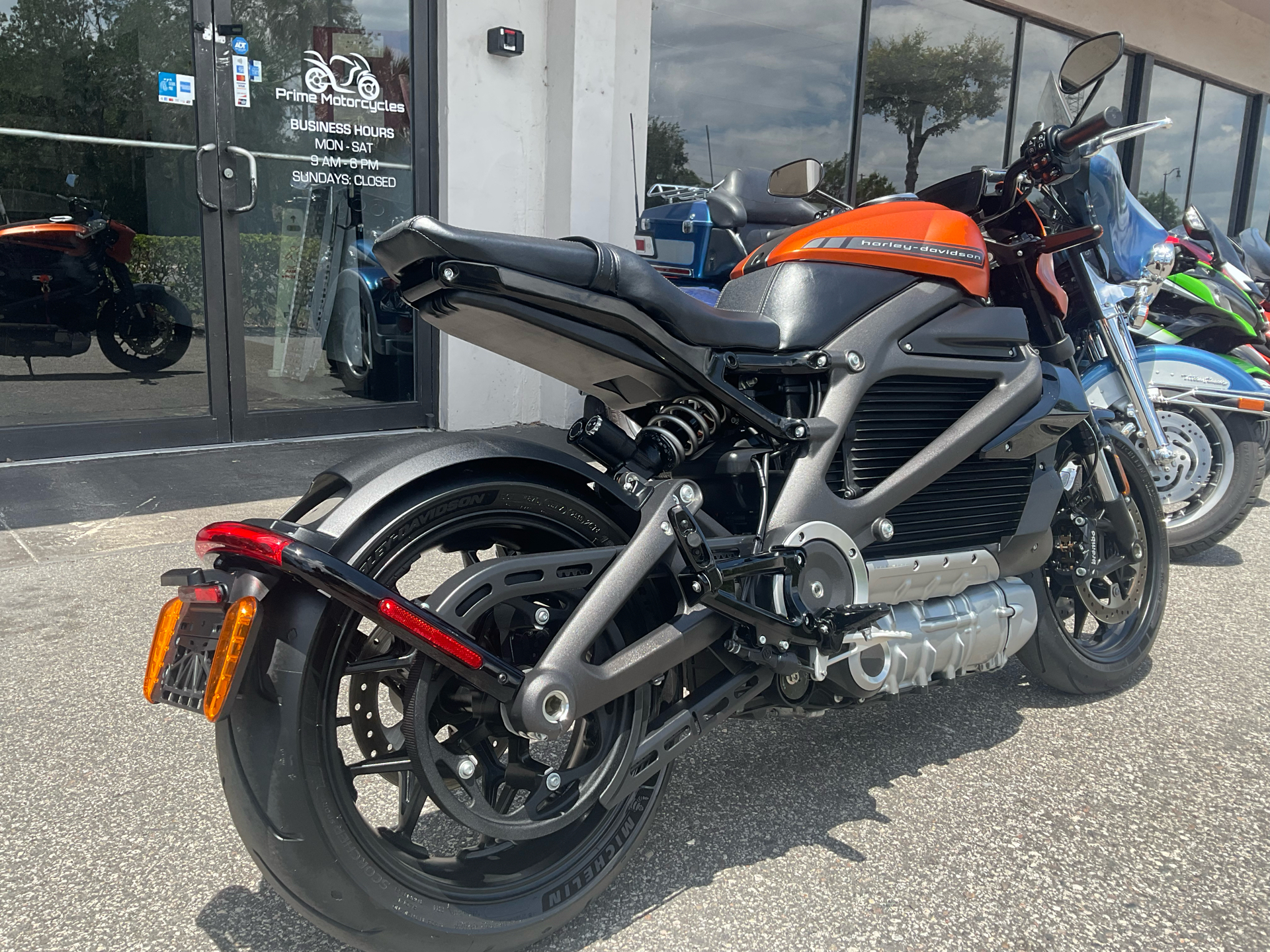2020 Harley-Davidson Livewire™ in Sanford, Florida - Photo 8