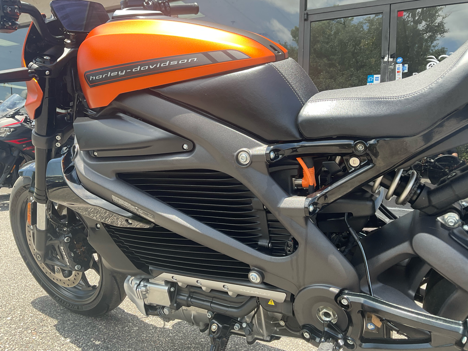2020 Harley-Davidson Livewire™ in Sanford, Florida - Photo 12