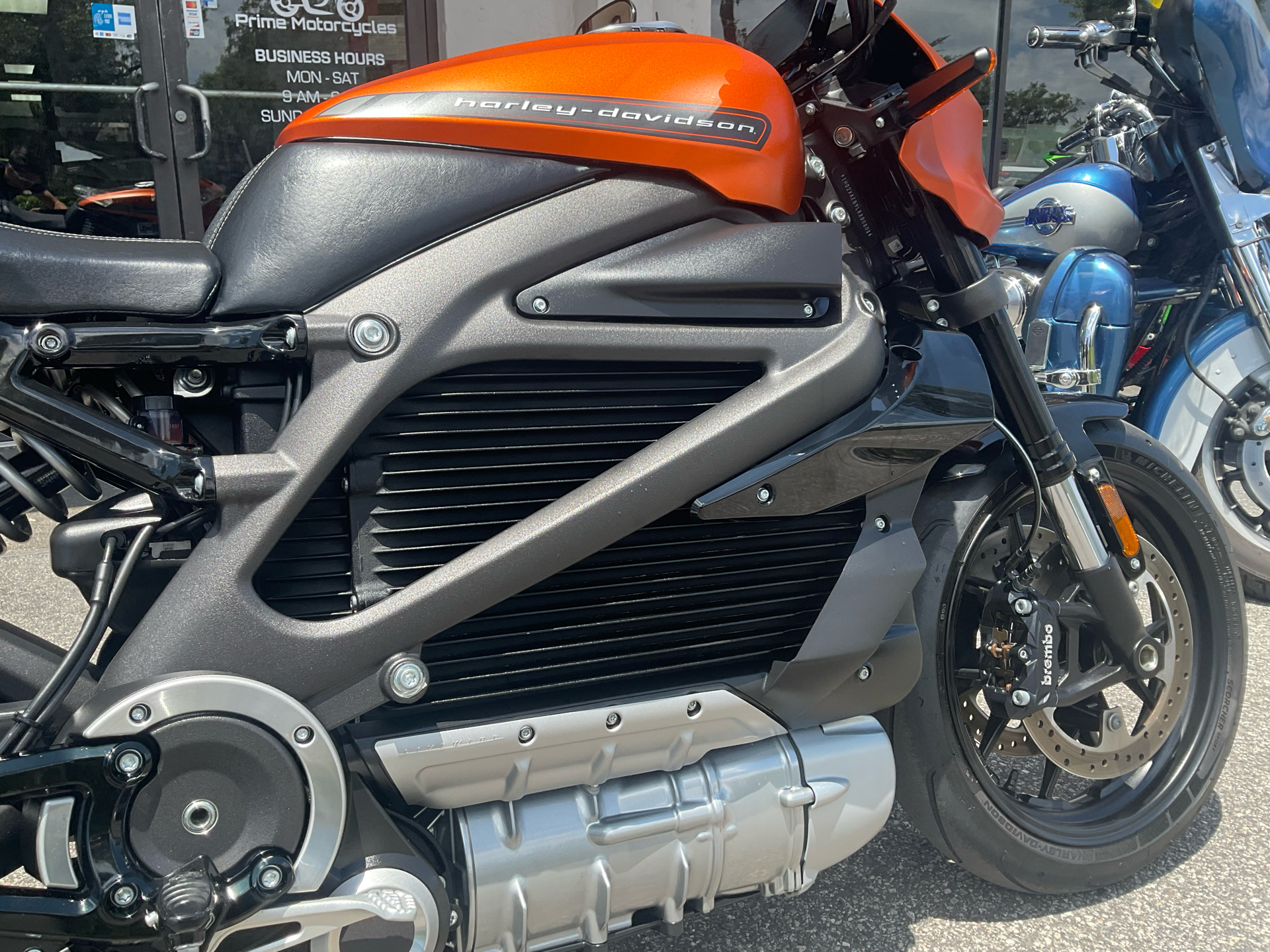 2020 Harley-Davidson Livewire™ in Sanford, Florida - Photo 19