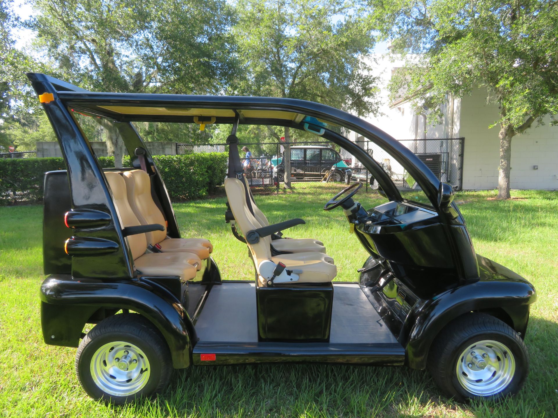 2010 Star EV AP48-04 4 Seater Golf Cart in Sanford, Florida - Photo 1