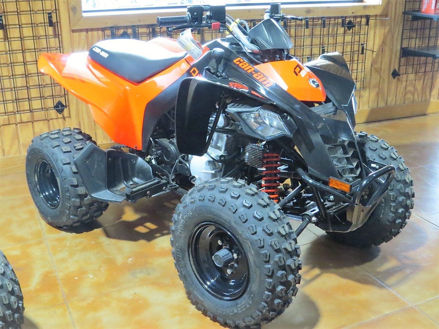 2023 Can-Am DS 250 in Mount Pleasant, Texas - Photo 1
