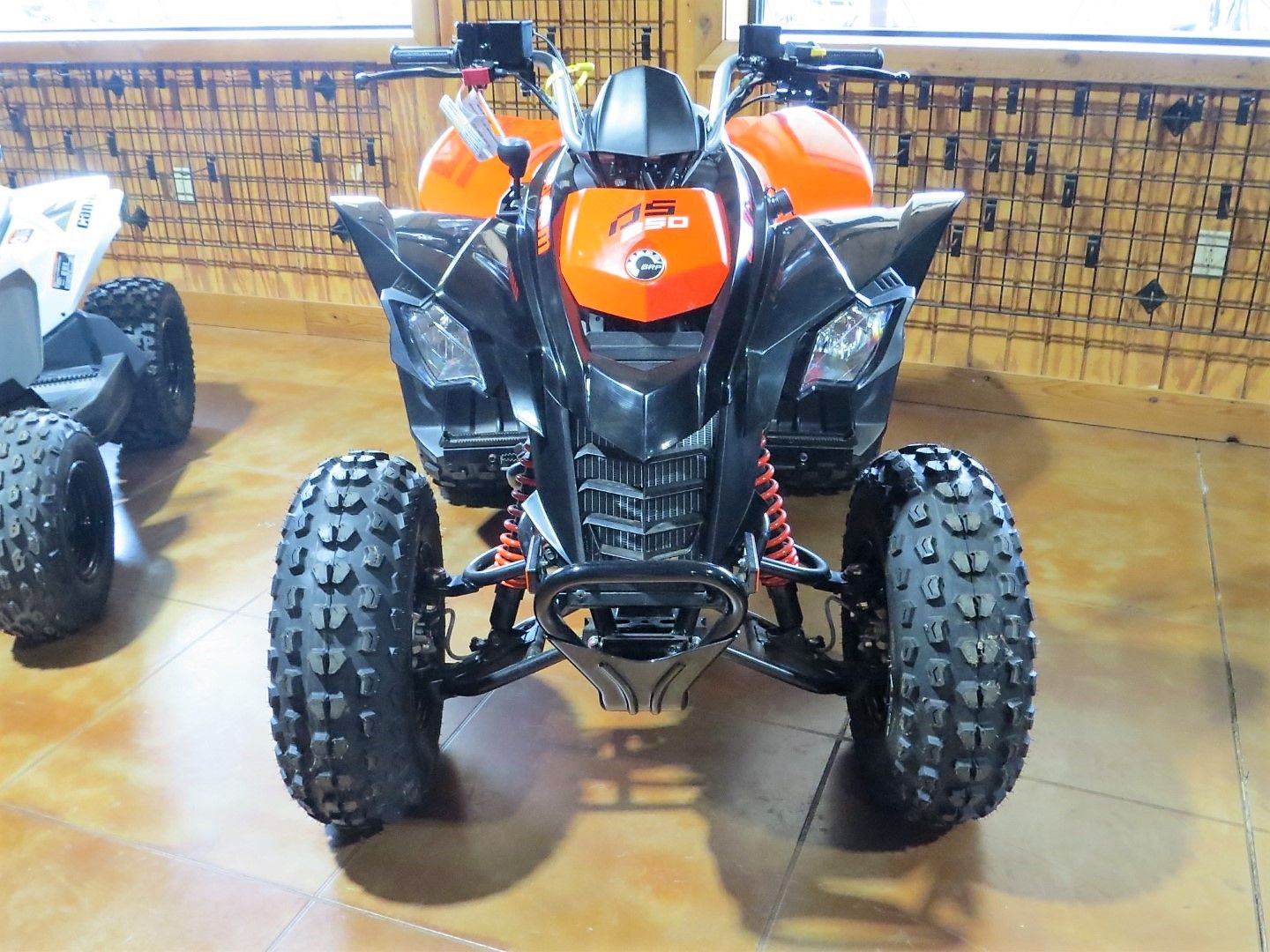 2023 Can-Am DS 250 in Mount Pleasant, Texas - Photo 2