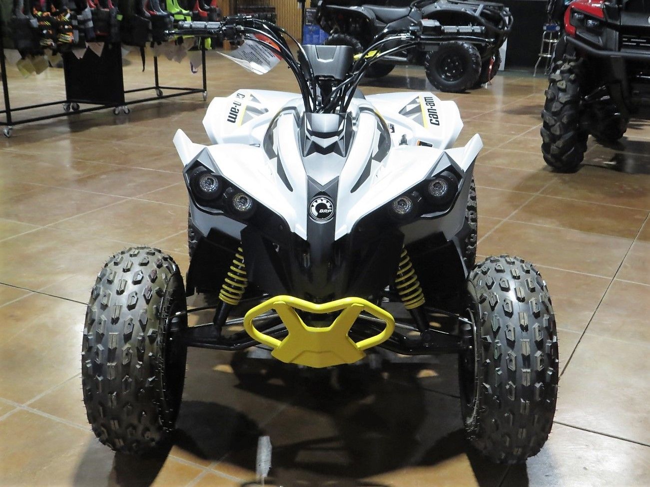 2024 Can-Am Renegade 110 EFI in Mount Pleasant, Texas - Photo 2