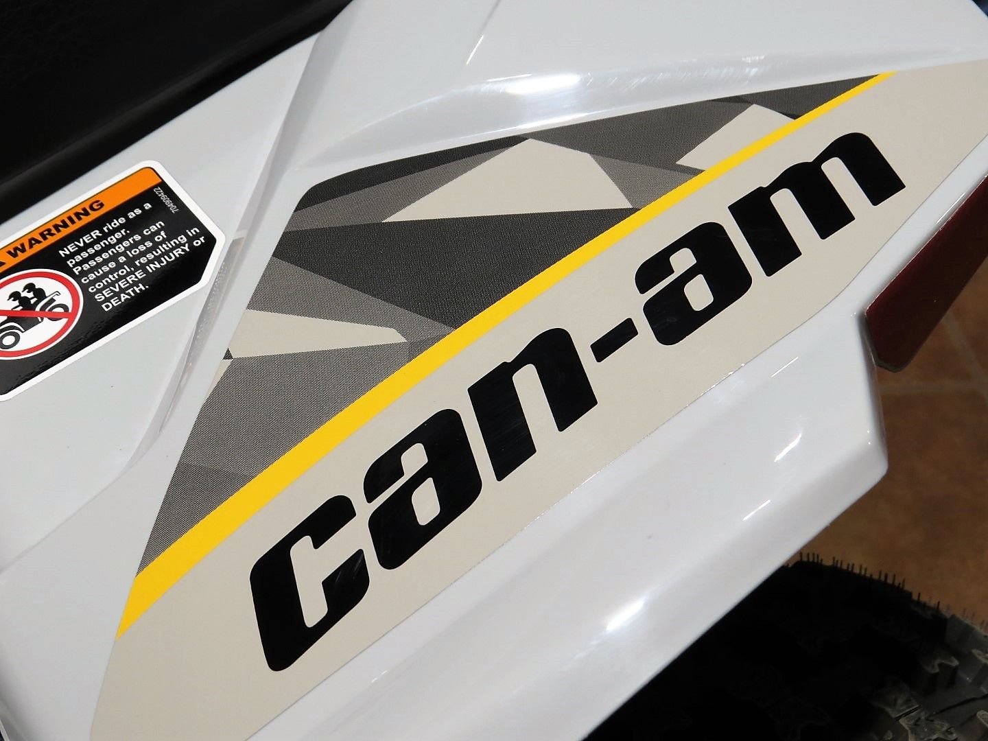 2024 Can-Am Renegade 110 EFI in Mount Pleasant, Texas - Photo 15