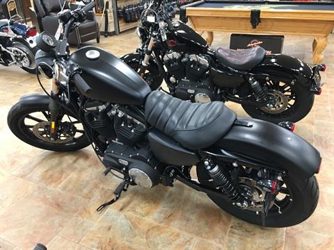 2021 Harley-Davidson XL883N in Cincinnati, Ohio - Photo 2