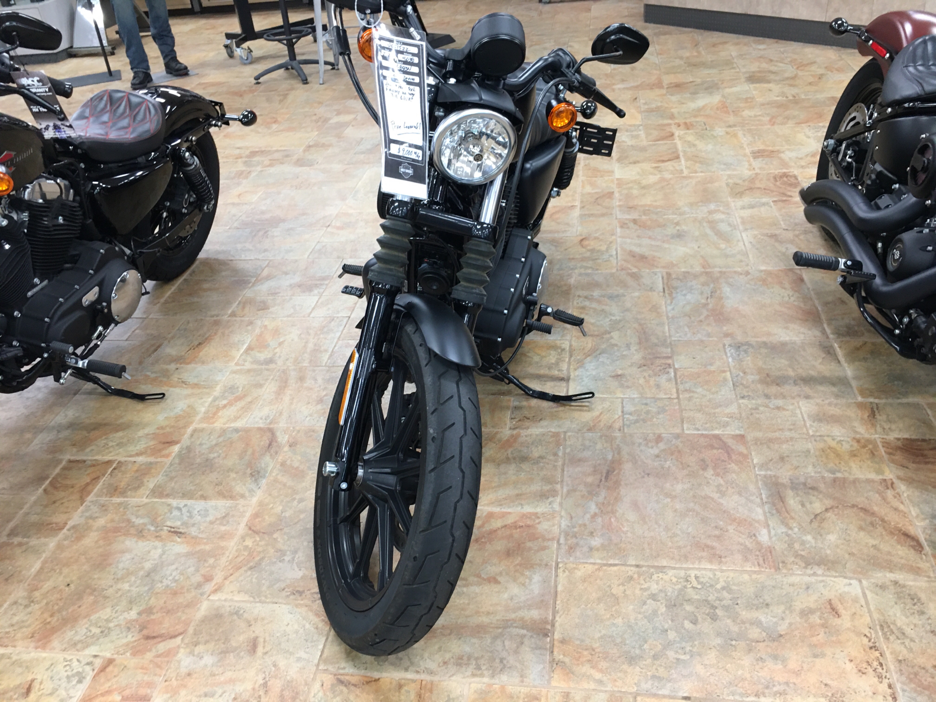 2021 Harley-Davidson XL883N in Cincinnati, Ohio - Photo 3