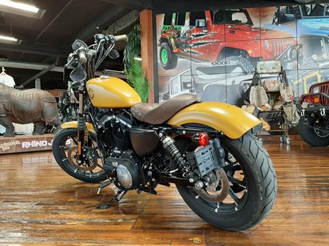 2019 Harley-Davidson Iron 883™ in Laurel, Mississippi - Photo 4