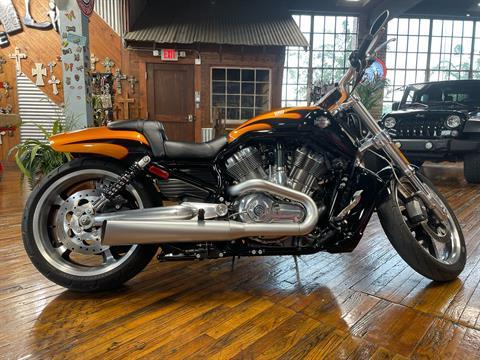 2014 Harley-Davidson V-Rod Muscle® in Laurel, Mississippi - Photo 1