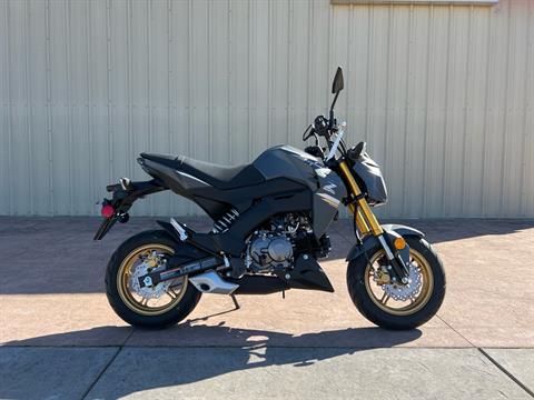 2024 Kawasaki Z125 Pro in Michigan Center, Michigan - Photo 1