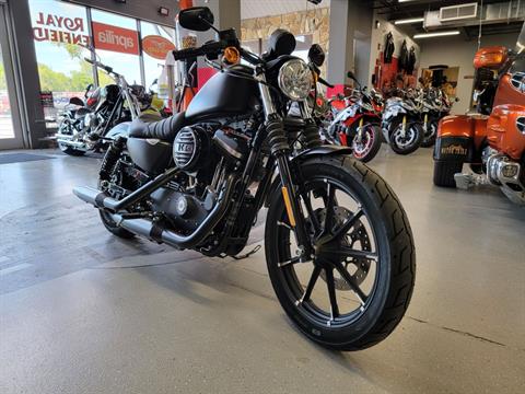 2020 Harley-Davidson Iron 883™ in Fort Myers, Florida - Photo 2