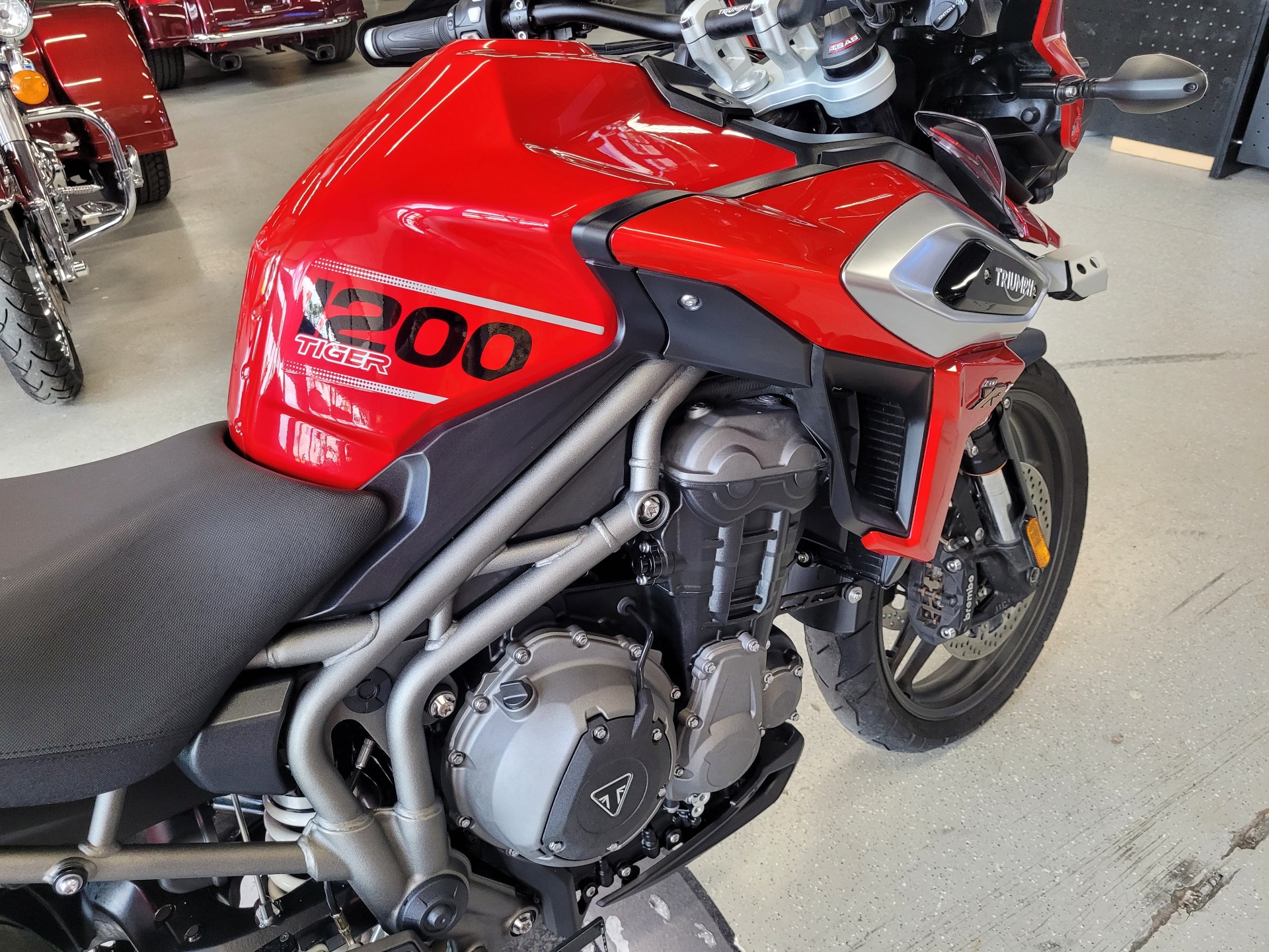 2019 Triumph Tiger 1200 XRt in Fort Myers, Florida - Photo 3