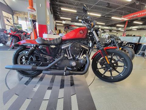 2019 Harley-Davidson Iron 883™ in Fort Myers, Florida - Photo 1