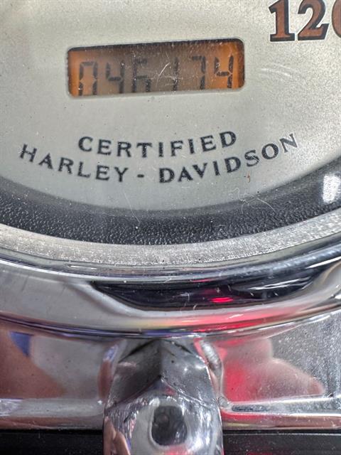 2003 Harley-Davidson Screamin' Eagle®  Road King® in Sandusky, Ohio - Photo 11