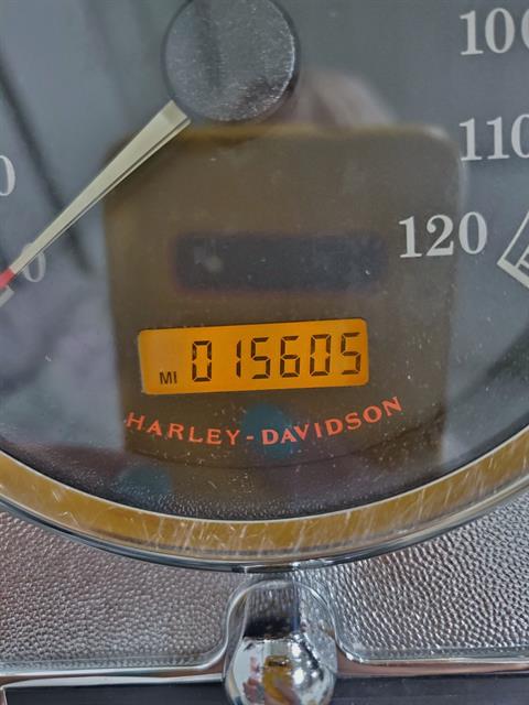 2007 Harley-Davidson Softail Standard in Sandusky, Ohio - Photo 12