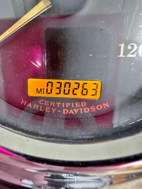 2004 Harley-Davidson FXSTD/FXSTDI Softail® Deuce™ in Sandusky, Ohio - Photo 12