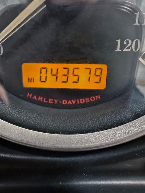 2009 Harley-Davidson Electra Glide® Classic in Sandusky, Ohio - Photo 13