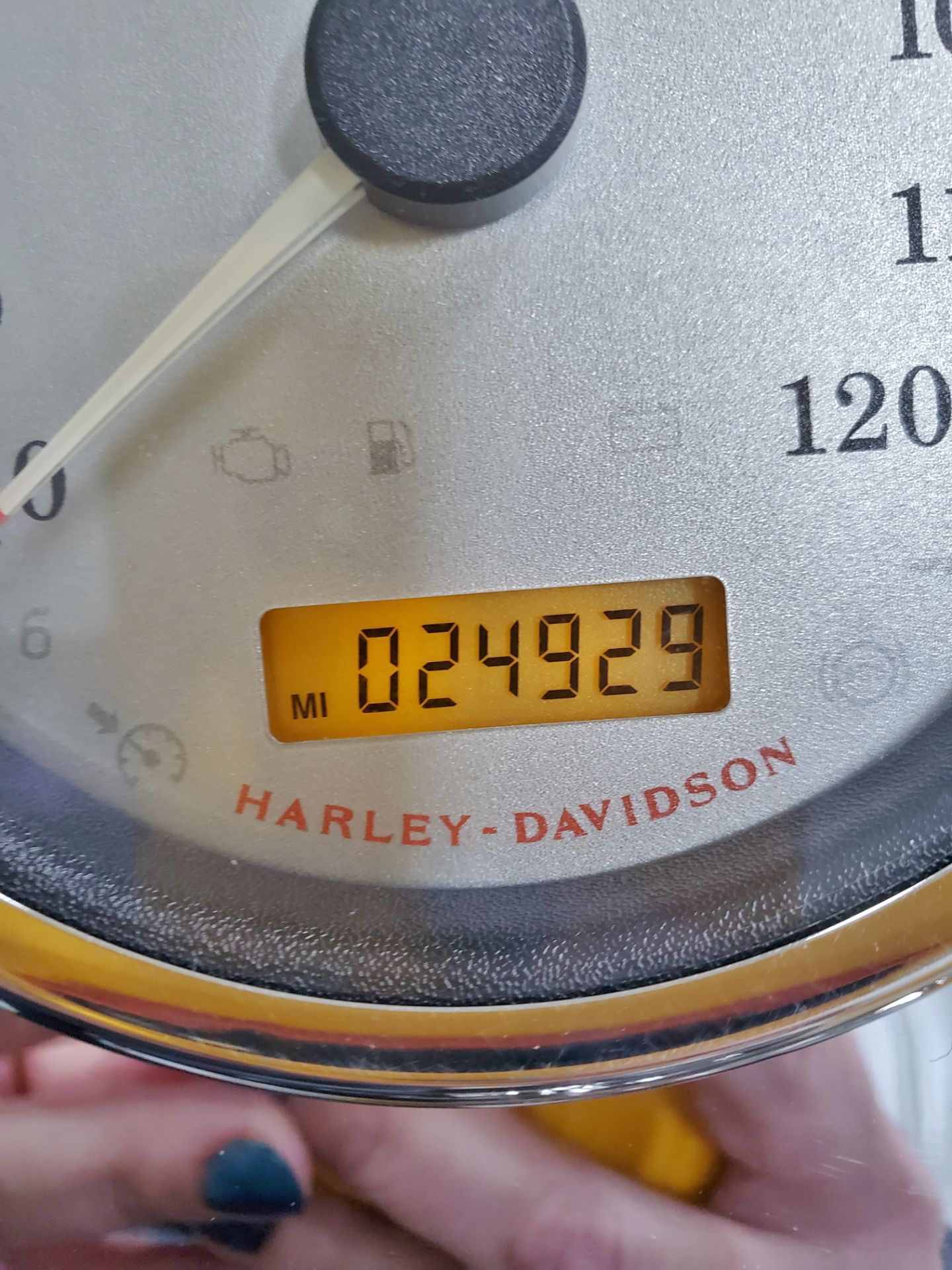2009 Harley-Davidson Dyna® Super Glide® Custom in Sandusky, Ohio - Photo 12