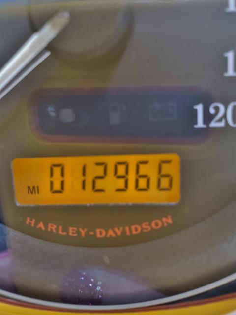 2007 Harley-Davidson Sportster® 1200 Custom in Sandusky, Ohio - Photo 12