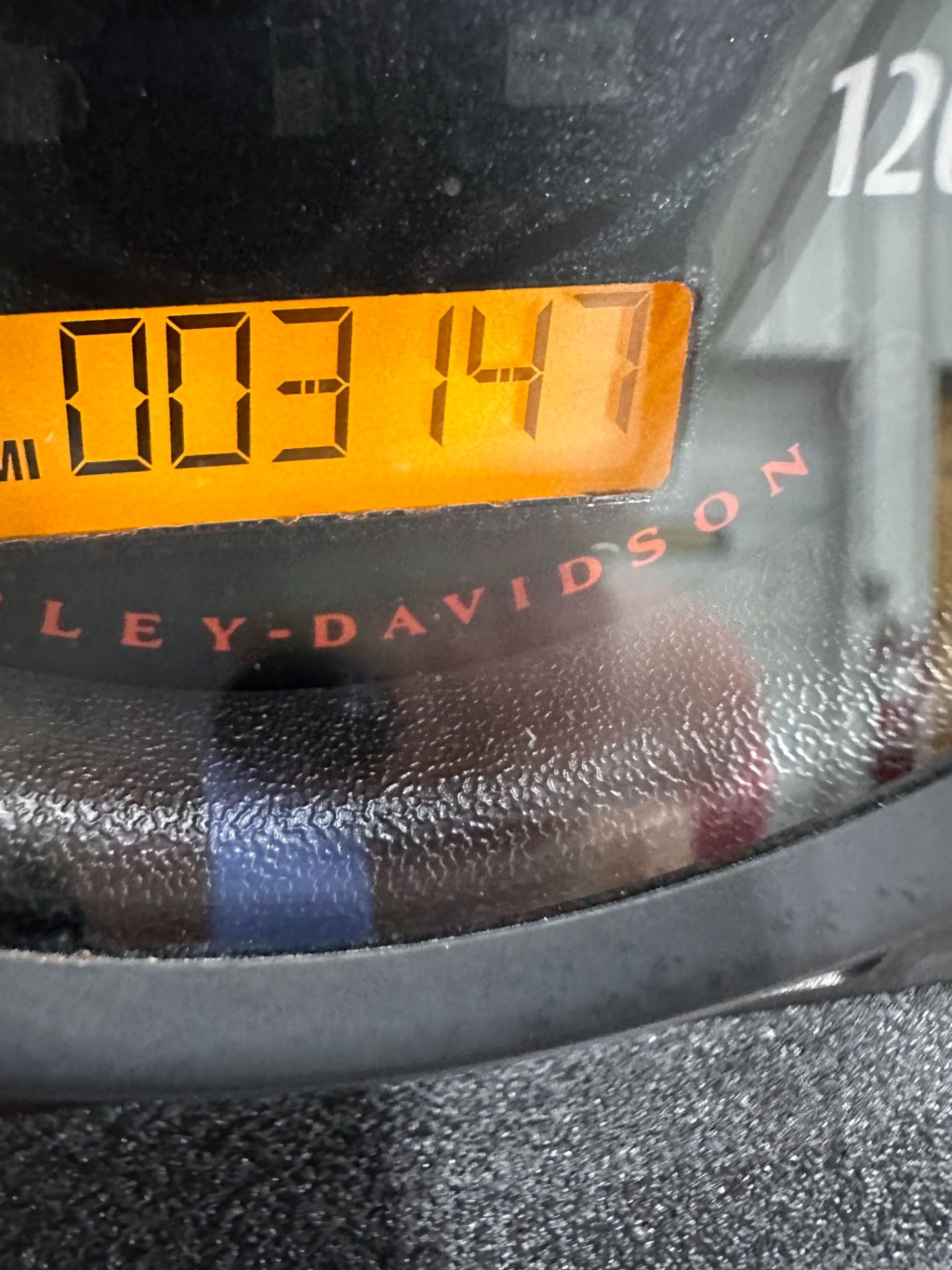2020 Harley-Davidson Iron 883™ in Sandusky, Ohio - Photo 12