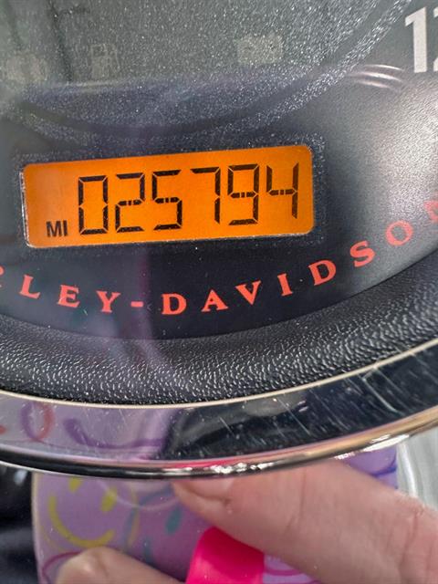 2012 Harley-Davidson Dyna® Fat Bob® in Sandusky, Ohio - Photo 12
