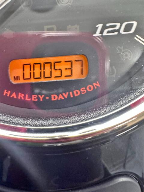 2023 Harley-Davidson Freewheeler® in Sandusky, Ohio - Photo 12