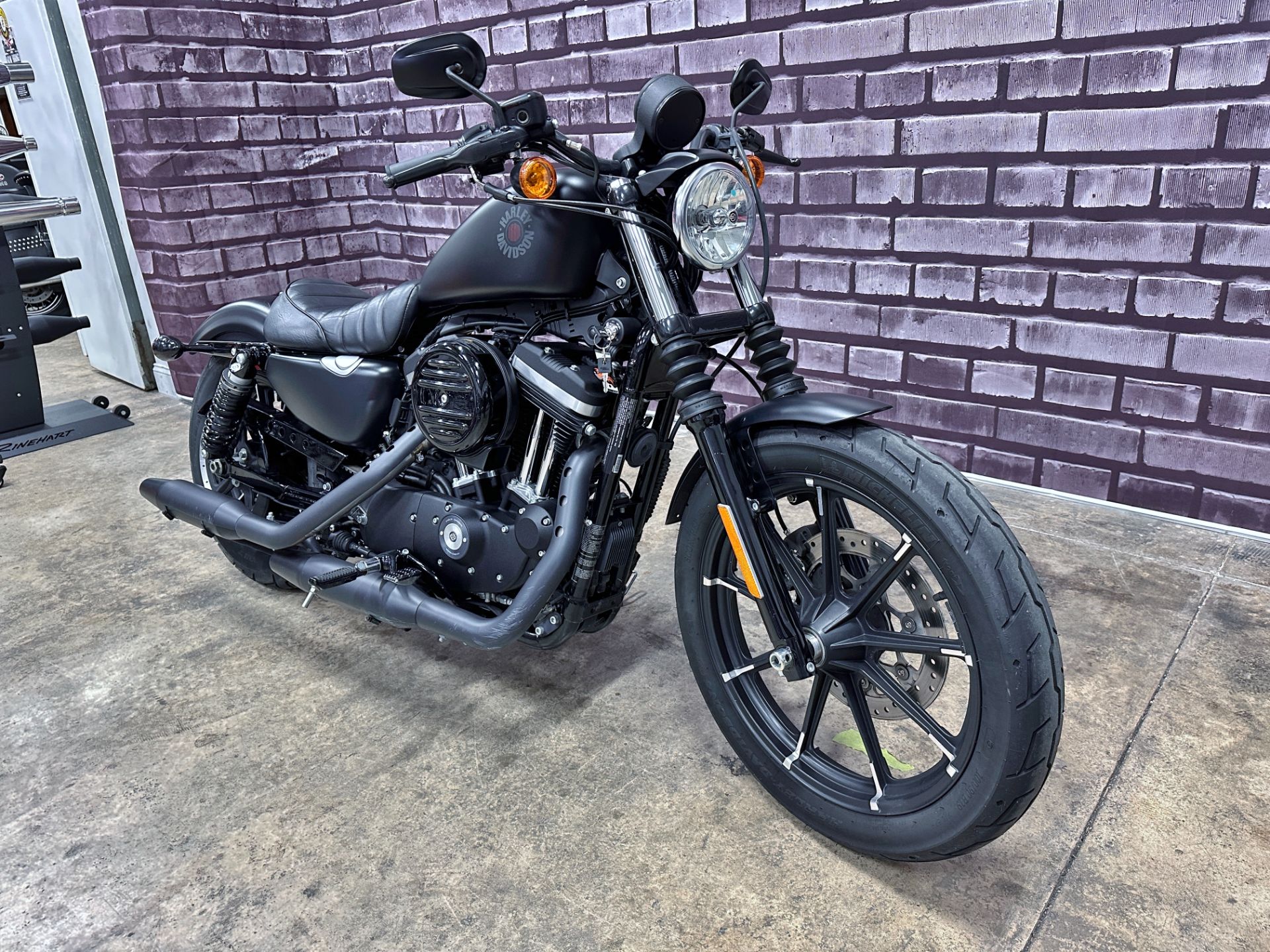 2021 Harley-Davidson Iron 883™ in Sandusky, Ohio - Photo 3