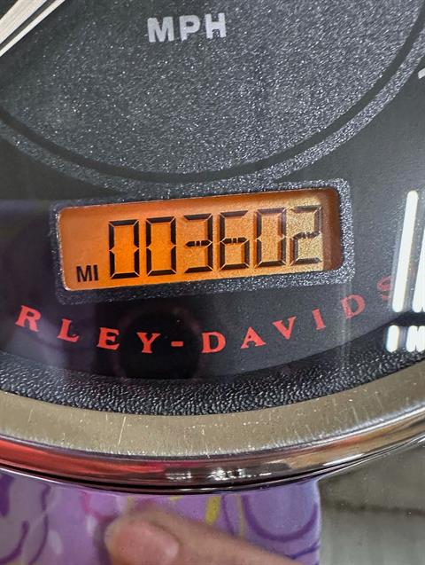 2013 Harley-Davidson Dyna® Fat Bob® in Sandusky, Ohio - Photo 12