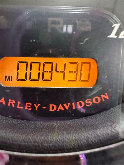 2015 Harley-Davidson Freewheeler™ in Sandusky, Ohio - Photo 13