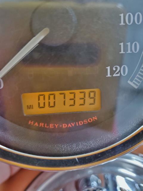 2008 Harley-Davidson Sportster® 1200 Custom in Sandusky, Ohio - Photo 12
