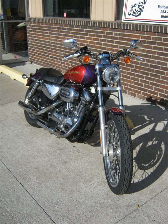 2006 Harley-Davidson Sportster® 1200 Custom in Bettendorf, Iowa - Photo 8