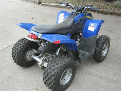 2006 Polaris Phoenix in Bettendorf, Iowa - Photo 6