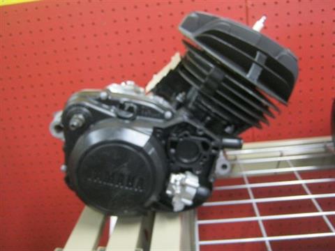 1988 Yamaha YFS200 Blaster Rebuilt Engine in Bettendorf, Iowa - Photo 4