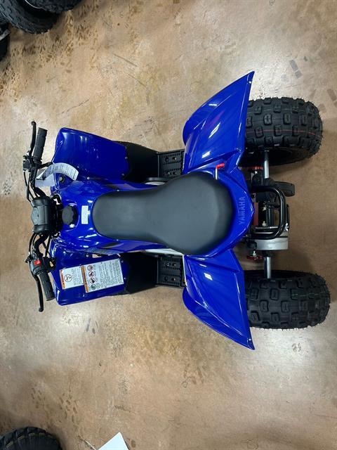 2025 Yamaha YFZ50 in Evansville, Indiana - Photo 5