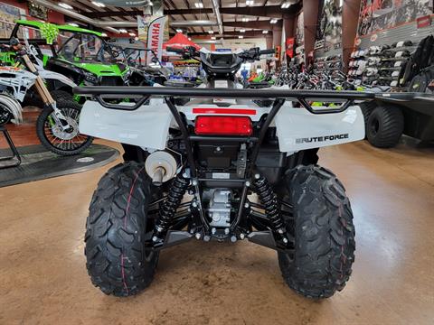 2023 Kawasaki Brute Force 750 4x4i EPS in Evansville, Indiana - Photo 4