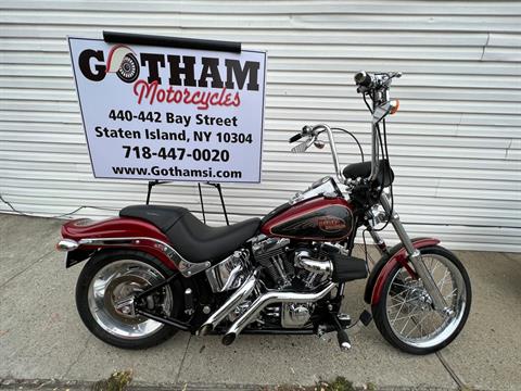 2007 Harley-Davidson Softail® Custom in Staten Island, New York - Photo 1