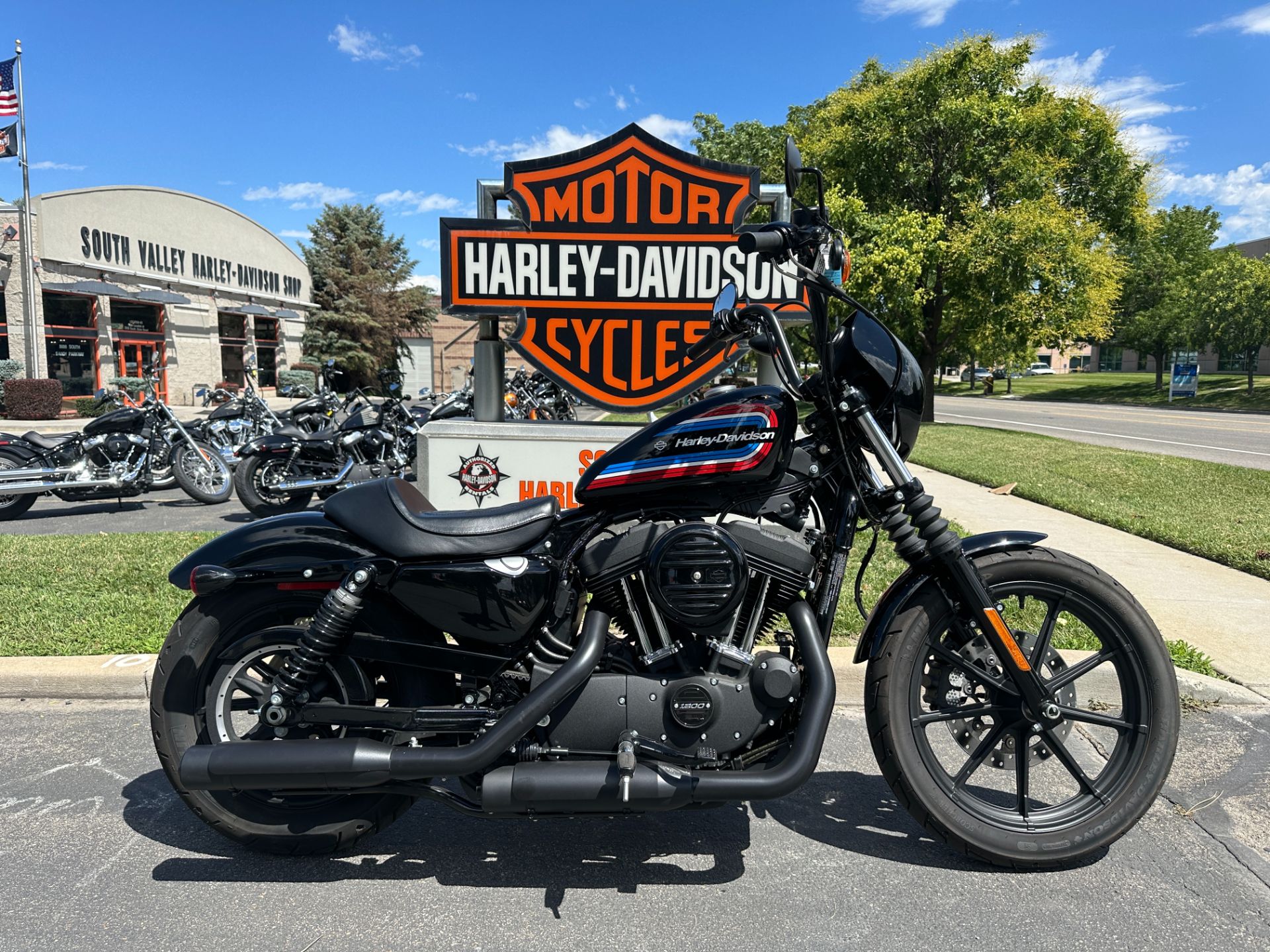 iron 1200 harley 2020