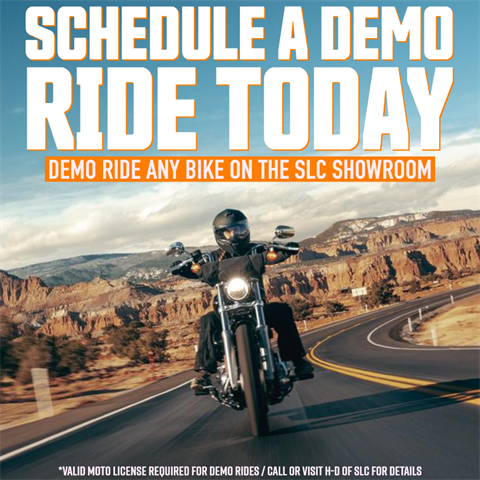 2020 Harley-Davidson Street Glide® in Salt Lake City, Utah - Photo 9
