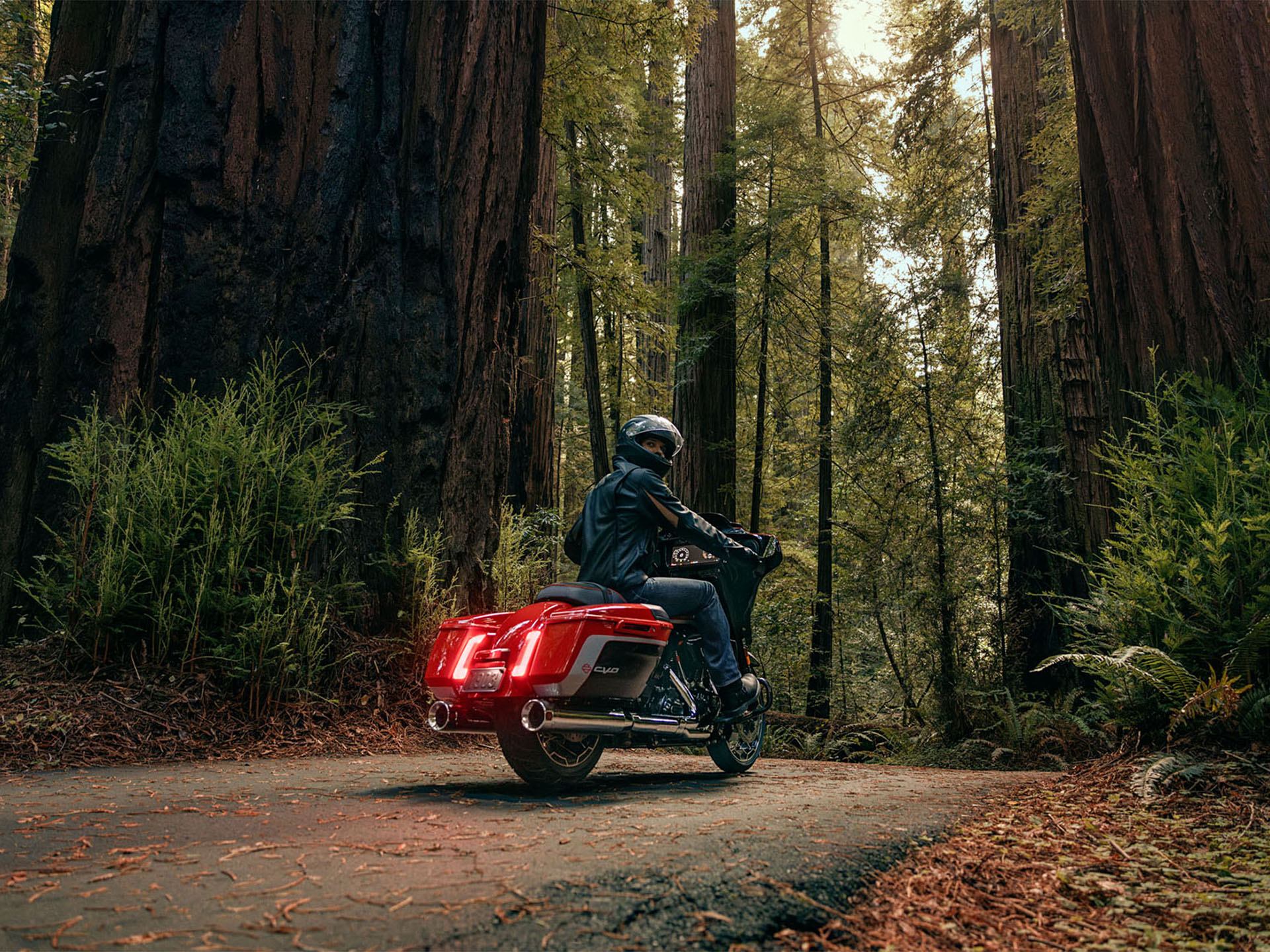 2024 Harley-Davidson CVO™ Street Glide® in Salt Lake City, Utah - Photo 10